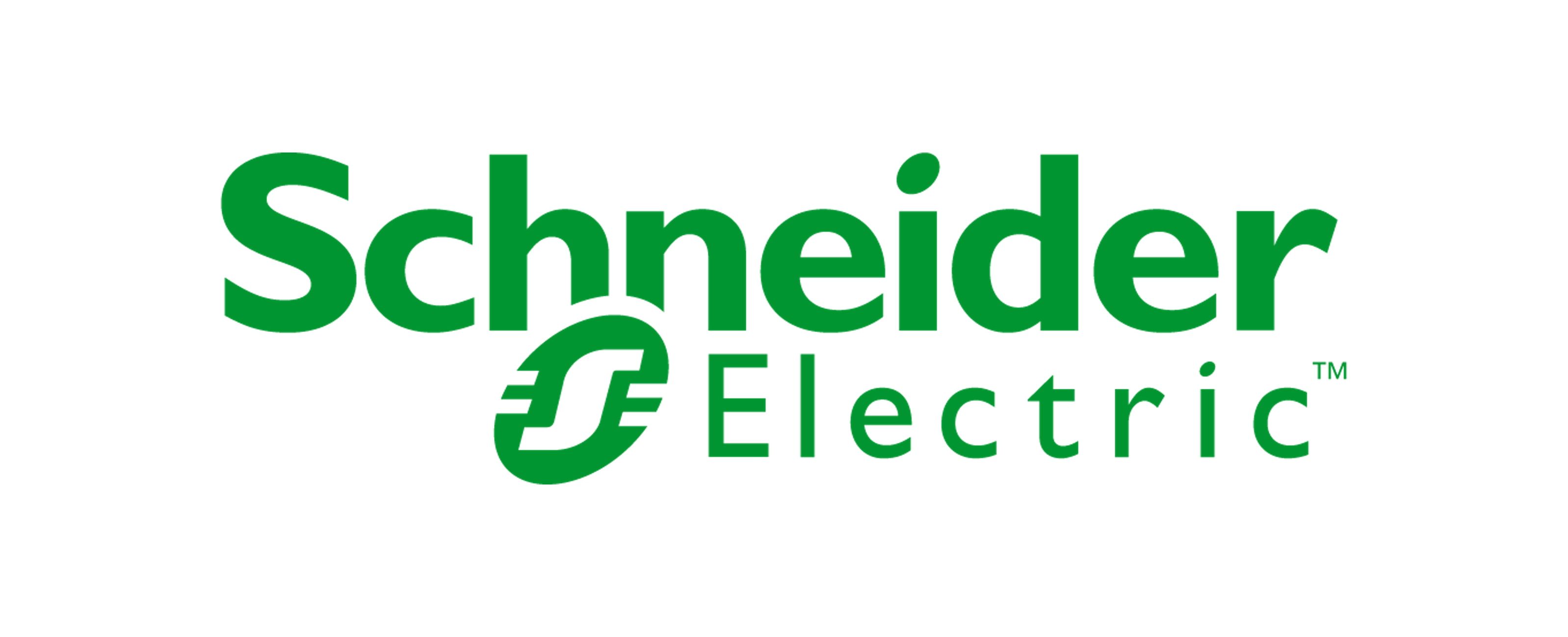 Schneider logo_Adjusted for CMS